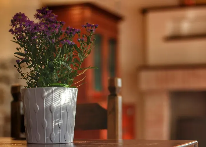 בית נופש Cozzena *