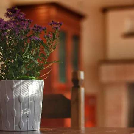 Дом отдыха Cozzena *